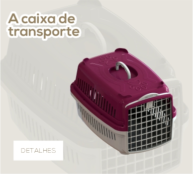 CAIXA DE TRANSPORTE PATA FORTE Nº1
